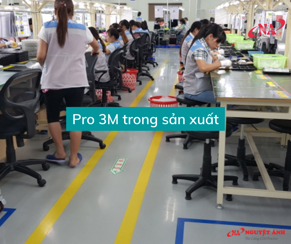 Pro 3m trong sản xuất là gì