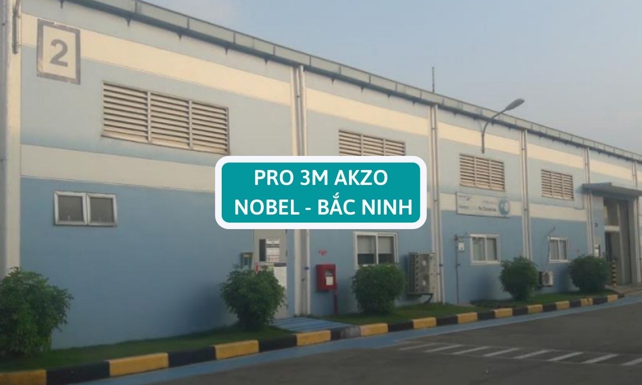 Pro 3m AKZO NOBEL - BẮC NINH