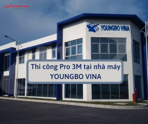 Thi công Pro 3m tại công ty youngbo vina